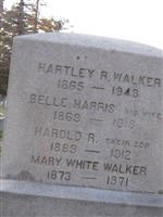 Mary White Walker