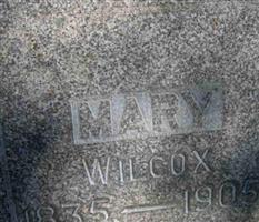 Mary Wilcox