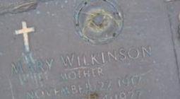 Mary Wilkinson
