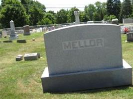 Mary Williamson Lemen Mellor