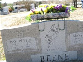 Mary Willie Beene