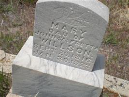 Mary Willson