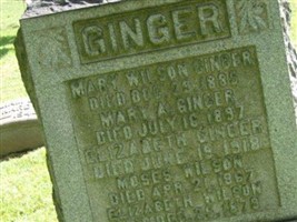 Mary Wilson Ginger