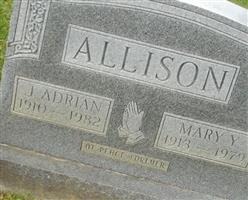 Mary Y. Allison