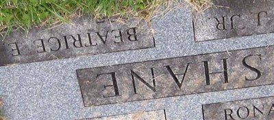 Maryann E. Shane