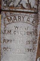 MaryAnn Elizabeth Tribble Chesshir