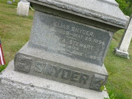 Maryann Stewart Snyder