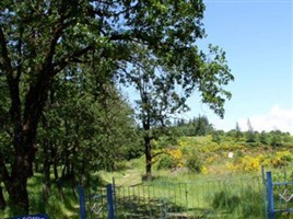 Masonic Cemetery