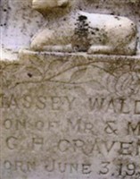 Massey Walden Craven