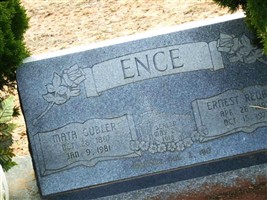 Mata Gubler Ence