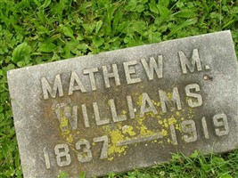 Mathew M Williams