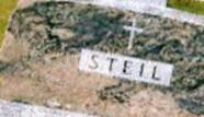 Mathew N Steil Mathew N Steil