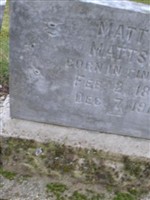 Matt L. Mattson