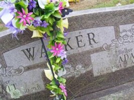 Matt Walker Matt Walker