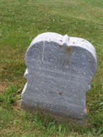 Matthias W Myers