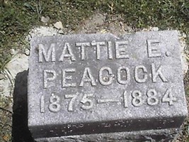 Mattie E Peacock