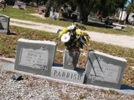 Mattie Frances Parrish