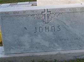 Mattie Lee Echols Johns