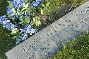 Mattie Lou Langdon Gunn Mattie Lou Langdon Gunn