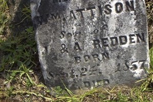 Mattison Redden