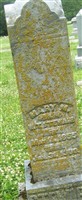 Maud L Steward