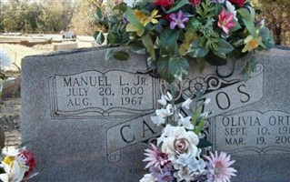 Maunuel L Cavazos, Jr Maunuel L Cavazos, Jr