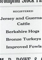Maurice Broaddus Rowe Maurice Broaddus Rowe