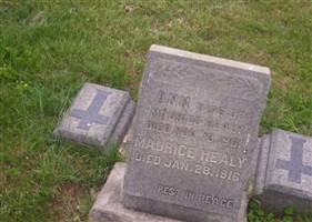 Maurice Healy