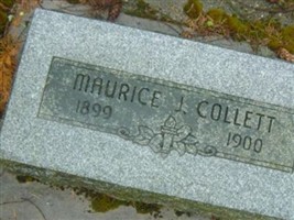 Maurice J. Collett Maurice J. Collett