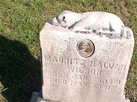 Mauritz Halvar Wilson