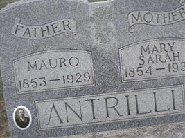 Mauro Antrilli Mauro Antrilli