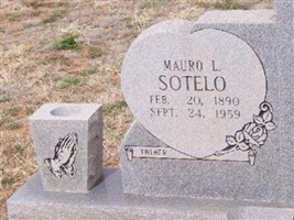 Mauro L Sotelo