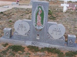 Mauro L Sotelo