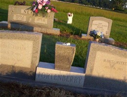 Mavis Meeks Fortenberry