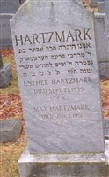 Max Hartzmark Max Hartzmark