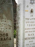 Max Meisenberg