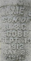 Maxie J Cobb