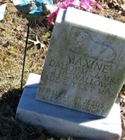 Maxine Swallows Maxine Swallows