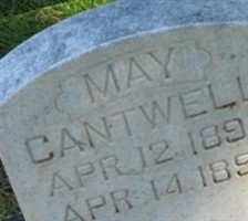 May Cantwell