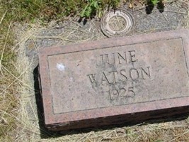May June Watson May June Watson
