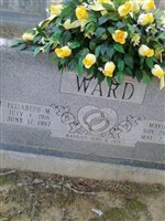 Maylon E Ward