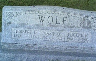 Mazie O Wolf Mazie O Wolf