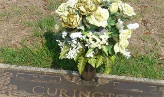 M. C. Curington M. C. Curington