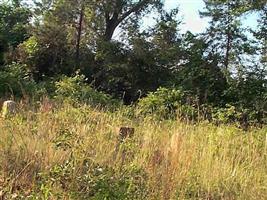 McCall Cemetery