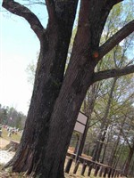 McDade Cemetery