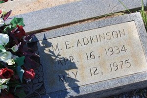 M E Adkinson