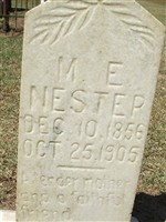 M. E. Nester M. E. Nester