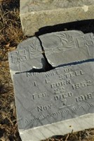 M. E. Stell