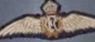 Air Mechanic 2nd Class Albert Ernest Hayles