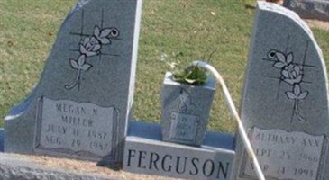Megan N. Miller Ferguson